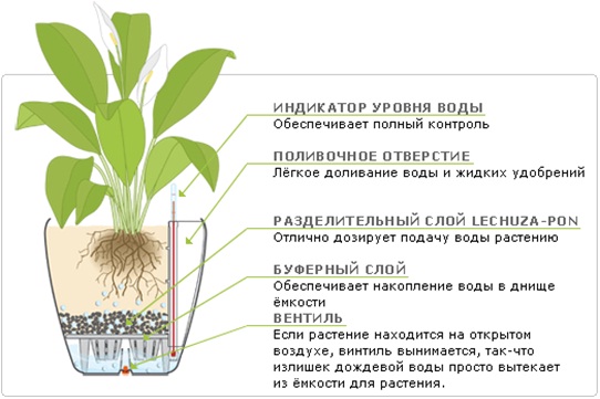 инструкция по применению cataflam