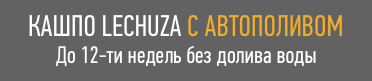 автополив 12 недель