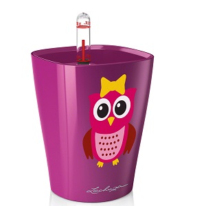 MINI-DELTINI с совой фуксия