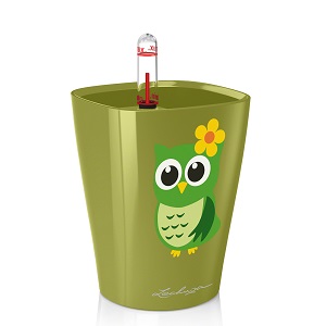 MINI-DELTINI с совой в оливковом цвете