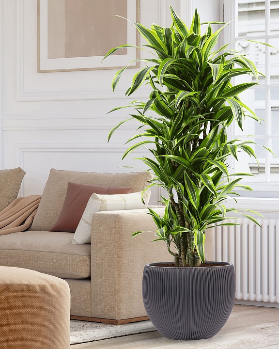 MAR49-BLK Напольное кашпо для цветов IDEALIST Премиум Марс, Д49 В38 см, черное, круглое, 55 литров