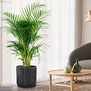 Напольное кашпо IDEALIST Lite Урбан, круглое, антрацит Д45 В45 см