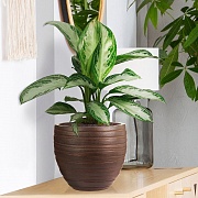 Настольное кашпо IDEALIST LITE Роу, круглое, коричневое, Д27 В25.5 см