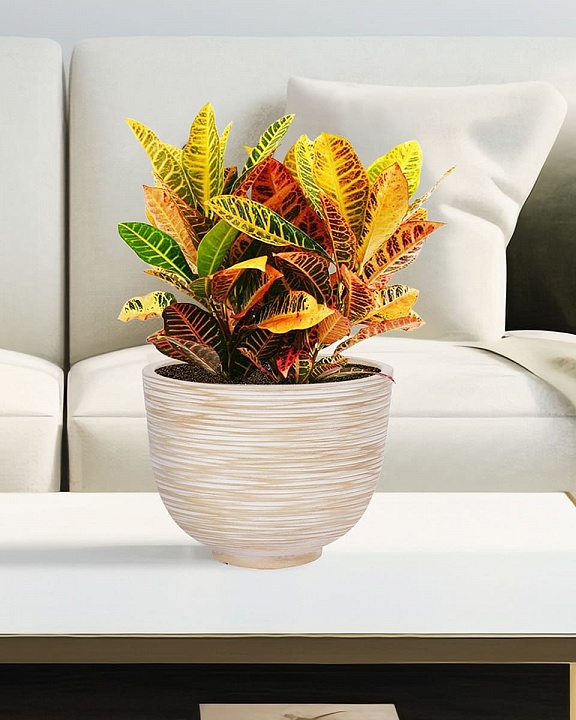 RIF24-BB Настольное кашпо для цветов IDEALIST Премиум Риф, чаша, Д24 В18 см, бежевое, 4 литра