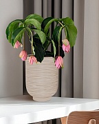 NEO24-BB Настольное кашпо для цветов IDEALIST Премиум Нео, высокое, Д24 В32 см, бежевое, 11 литров