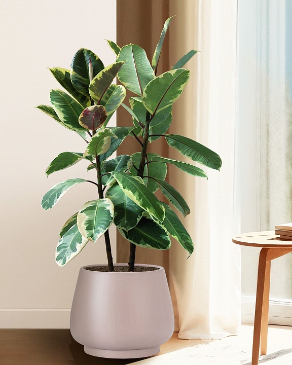 DUN37-BRN Напольное кашпо для цветов IDEALIST Премиум Дюна, Д37 В29 см, цвет кофе с молоком, чаша, 30 литров