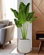 VELRV31-BB Напольное кашпо для цветов IDEALIST Премиум Велюр, круглое, Д31 В32 см, цвет айвори, 20 литров