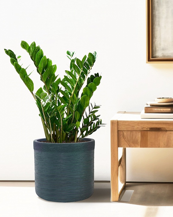 Напольное кашпо IDEALIST Lite Флоранжери, круглое, темно-зеленое Д33.5 В31.5 см