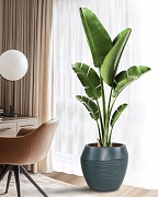 TER49-GRN Напольное кашпо для цветов IDEALIST Премиум Терра, круглое, Д49 В47 см, темно-зеленое, 80 литров