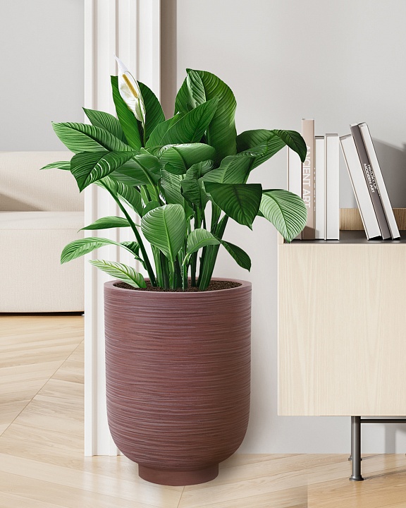 NEO30-BRN Напольное кашпо для цветов IDEALIST Премиум Нео, высокое, Д30 В40 см, цвет шоколад, 24 литра