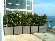 Кашпо Royal Planters Geo Cube, файбергласс, темно-серый, H100 L100 W100 cm