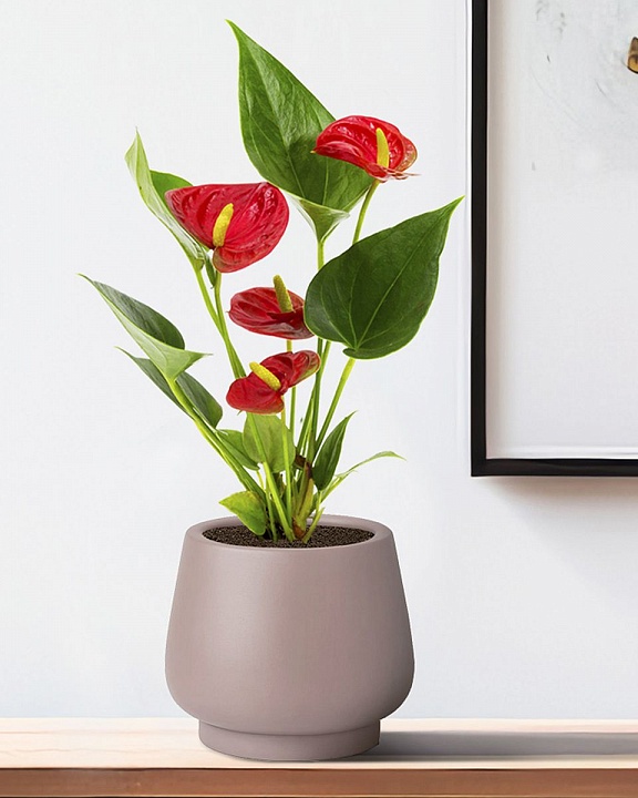 DUN24-BRN Настольное кашпо для цветов IDEALIST Премиум Дюна, Д24 В20 см, цвет кофе с молоком, чаша, 9 литров