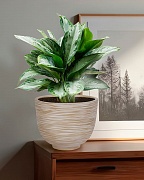 RIF24-BB Настольное кашпо для цветов IDEALIST Премиум Риф, чаша, Д24 В18 см, бежевое, 4 литра