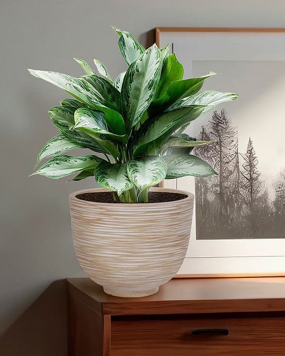 RIF24-BB Настольное кашпо для цветов IDEALIST Премиум Риф, чаша, Д24 В18 см, бежевое, 4 литра