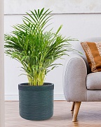 Напольное кашпо IDEALIST Lite Флоранжери, круглое, темно-зеленое Д33.5 В31.5 см