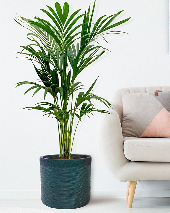 Напольное кашпо IDEALIST Lite Флоранжери, круглое, темно-зеленое Д33.5 В31.5 см