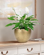 MAR29-GLD Настольное кашпо для цветов IDEALIST Премиум Марс, Д29 В22, золотое, круглое, 9 литров