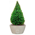 Настольное кашпо IDEALIST LITE Лицо с губами, бежевое, Д55 Ш41 В31 см