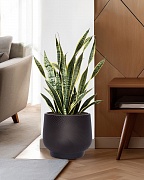 LIR33-BLK Напольное кашпо для цветов IDEALIST Премиум Лира, Д33 В29 см, черное, круглое, 22 литра