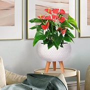 Напольное кашпо IDEALIST LITE Ханни Чаша с подставкой, файберстоун, белое, Д27.5 В25 cм, высота ножек 10 см