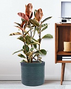 Напольное кашпо IDEALIST Lite Флоранжери, круглое, темно-зеленое Д33.5 В31.5 см