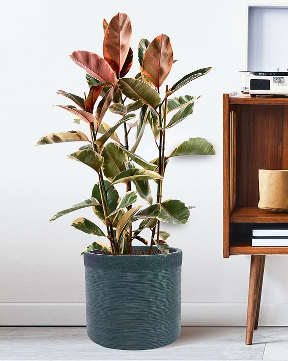 Напольное кашпо IDEALIST Lite Флоранжери, круглое, темно-зеленое Д33.5 В31.5 см