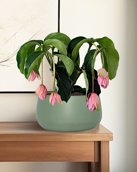 STN32-GRN Напольное кашпо для цветов IDEALIST Премиум Сатин, чаша, Д32 В16 см, зеленое, 11 литров