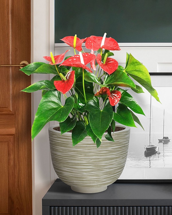 RIF30-WG Настольное кашпо для цветов IDEALIST Премиум Риф, чаша, Д30 В23 см, бело-зеленое, 8 литров