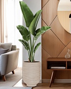 NEO37-BB Напольное кашпо для цветов IDEALIST Премиум Нео, высокое, Д37 В49 см, бежевое, 45 литров