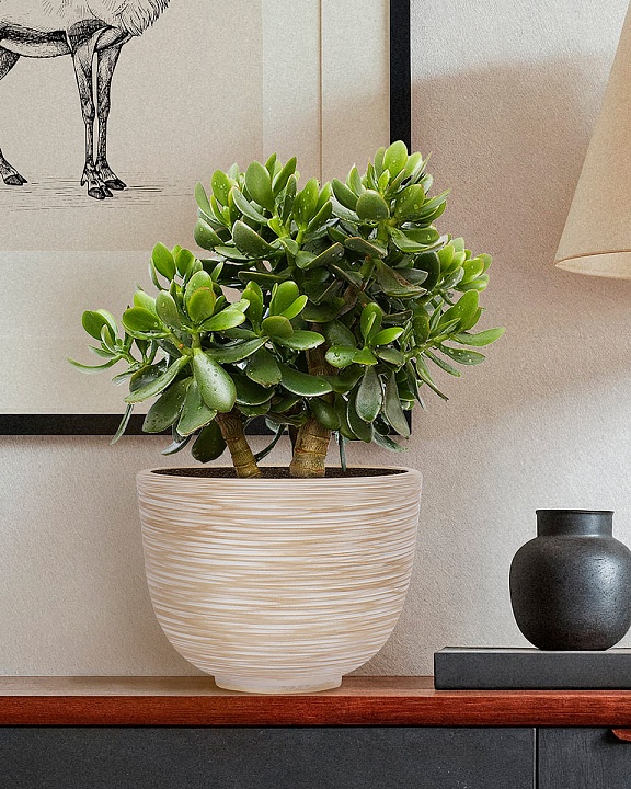 RIF24-BB Настольное кашпо для цветов IDEALIST Премиум Риф, чаша, Д24 В18 см, бежевое, 4 литра