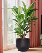 LIR33-BLK Напольное кашпо для цветов IDEALIST Премиум Лира, Д33 В29 см, черное, круглое, 22 литра