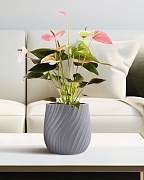 VELRV22-GR Настольное кашпо для цветов IDEALIST Премиум Велюр, круглое, Д22 В22 см, светло-серое, 7 литров