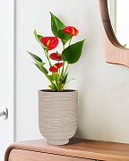 NEO24-BB Настольное кашпо для цветов IDEALIST Премиум Нео, высокое, Д24 В32 см, бежевое, 11 литров