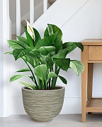 RIF36-WG Напольное кашпо для цветов IDEALIST Премиум Риф, чаша, Д36 В27 см, бело-зеленое, 13 литров