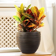 Настольное кашпо IDEALIST LITE Роу, круглое, коричневое, Д27 В25.5 см