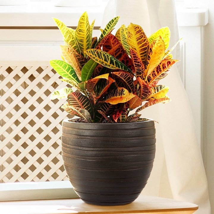 Настольное кашпо IDEALIST LITE Роу, круглое, коричневое, Д27 В25.5 см