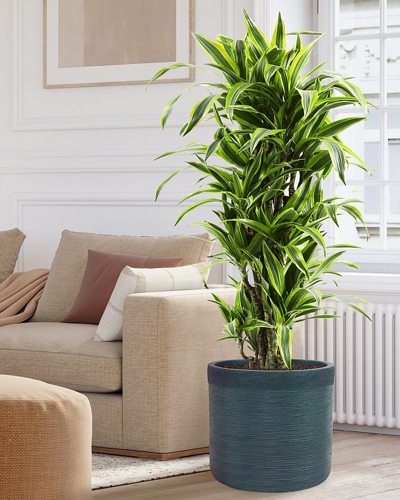 Напольное кашпо IDEALIST Lite Флоранжери, круглое, темно-зеленое Д42 В41 см