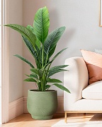 LIR43-GRN Напольное кашпо для цветов IDEALIST Премиум Лира, Д43 В38 см, зеленое, круглое, 51 литр