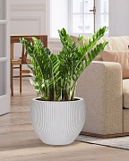 MAR49-AW Напольное кашпо для цветов IDEALIST Премиум Марс, Д49 В38 см, белое, круглое, 55 литров