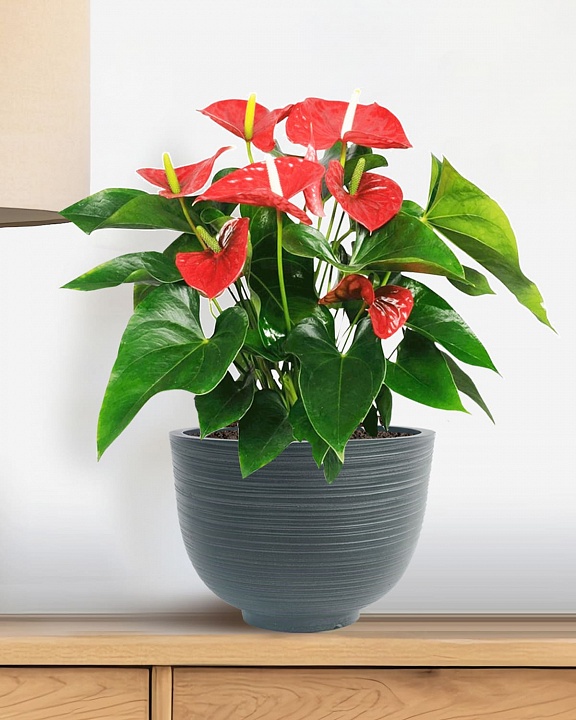 RIF30-GRN Настольное кашпо для цветов IDEALIST Премиум Риф, чаша, Д30 В23 см, темно-зеленое, 8 литров