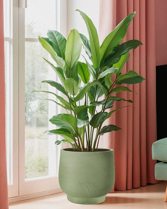 LIR43-GRN Напольное кашпо для цветов IDEALIST Премиум Лира, Д43 В38 см, зеленое, круглое, 51 литр