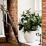 Напольное кашпо IDEALIST LITE Роу, круглое, слоновая кость, Д36 В31.5 см