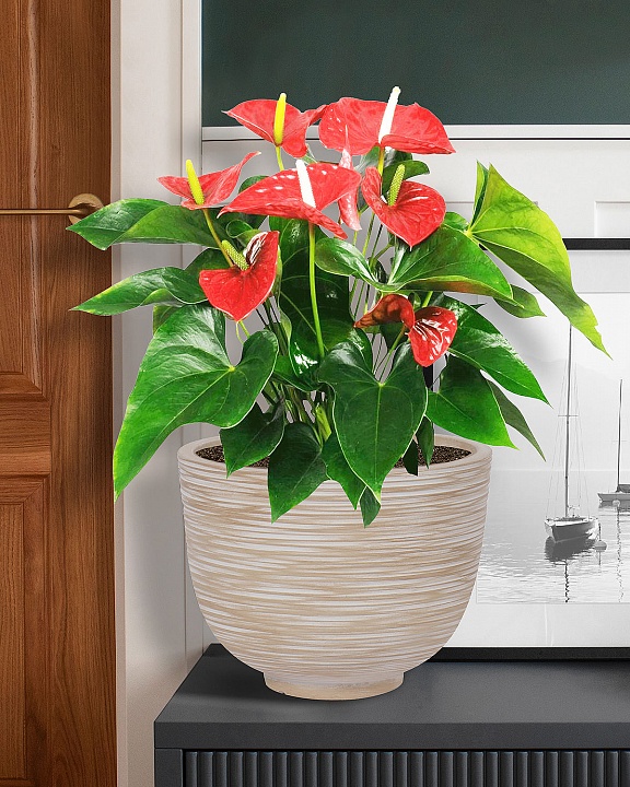 RIF30-BB Настольное кашпо для цветов IDEALIST Премиум Риф, чаша, Д30 В23 см, бежевое, 8 литров