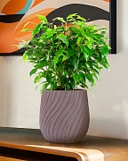 VELRV22-BRN Настольное кашпо для цветов IDEALIST Премиум Велюр, круглое, Д22 В22 см, цвет кофе, 7 литров