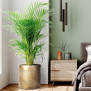 Напольное кашпо IDEALIST LITE Лист, файберстоун, золотистое, Д44 В44 см