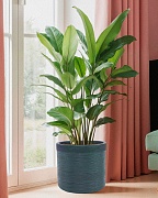 Напольное кашпо IDEALIST Lite Флоранжери, круглое, темно-зеленое Д33.5 В31.5 см