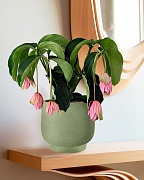 LIR24-GRN Настольное кашпо для цветов IDEALIST Премиум Лира, Д24 В21 см, зеленое, круглое, 10 литров