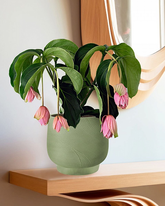 LIR24-GRN Настольное кашпо для цветов IDEALIST Премиум Лира, Д24 В21 см, зеленое, круглое, 10 литров