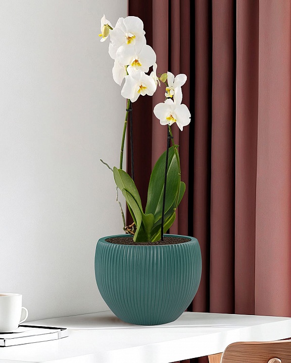 MAR29-GRN Настольное кашпо для цветов IDEALIST Премиум Марс, Д29 В22, изумрудное, круглое, 9 литров