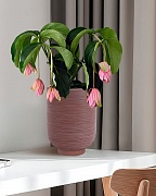 NEO24-BRN Напольное кашпо для цветов IDEALIST Премиум Нео, высокое, Д24 В32 см, цвет шоколад, 11 литров